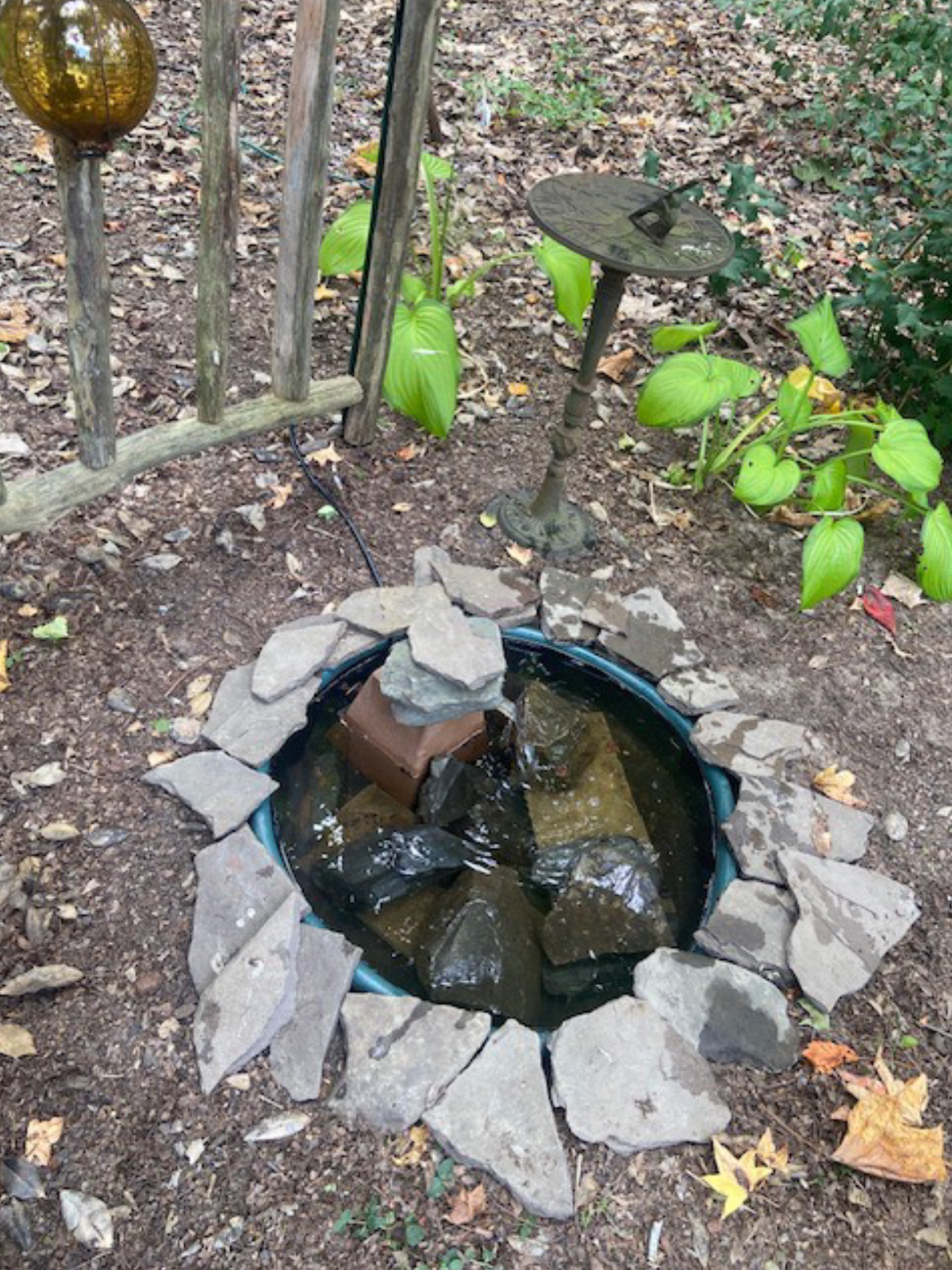 September Monthly Gardening Tip